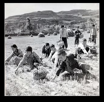 �鿴���ྫ�ʈDƬ