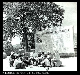 �鿴���ྫ�ʈDƬ