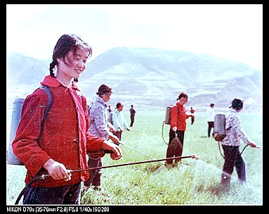 �鿴���ྫ�ʈDƬ