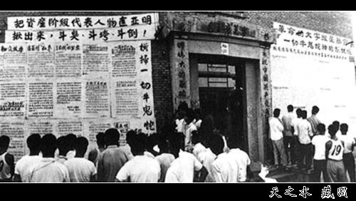 查看更多精彩圖片