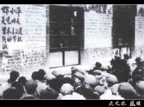 查看更多精彩圖片