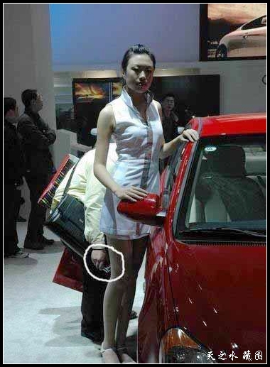 查看更多精彩圖片