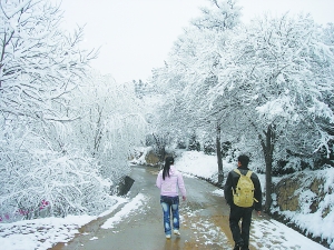 �����������@��������]�|