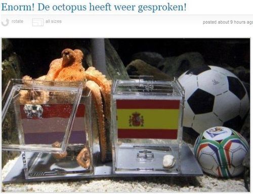 章魚保羅破例預(yù)測(cè)世界杯決賽 成功需有兩大前提