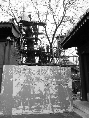 �����ˆT����Ř������ ����(b��o)ӛ�� ���m�� �z