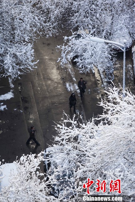 3��20�գ������ٴ�ӭ����ѩ���������������ě��⎧����3����ı�����߀�γ��ˡ���족�������D���峿���е�������������l(f��) ��� �z