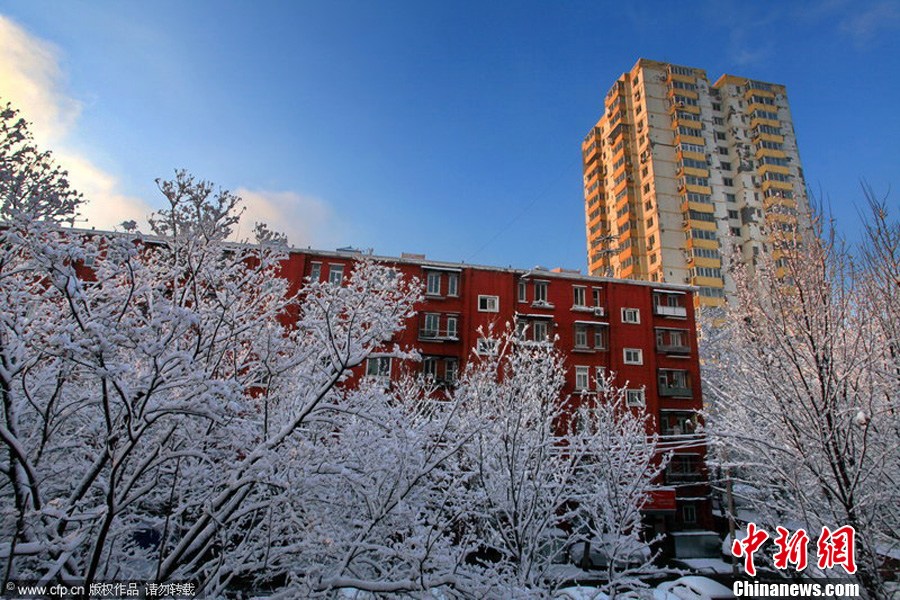 2013��3��20�����r(n��ng)�v�Ĵ���������׃�ı���ӭ����һ����ѩ��ѩ�󵽱�����ѩ����ӳ���¸�������������������ǰ��һ����(ji��)�������g�������������֮�f���XС�� �z CFPҕ�X�Ї�