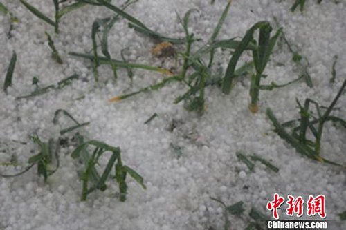 ���C�]����������3.9�f���ܞ�(z��i) ��߶ѷe15����