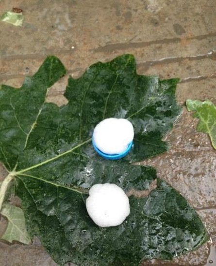 �ຣ����ͻ������ ���ֱ���_(d��)25����(�M�D)