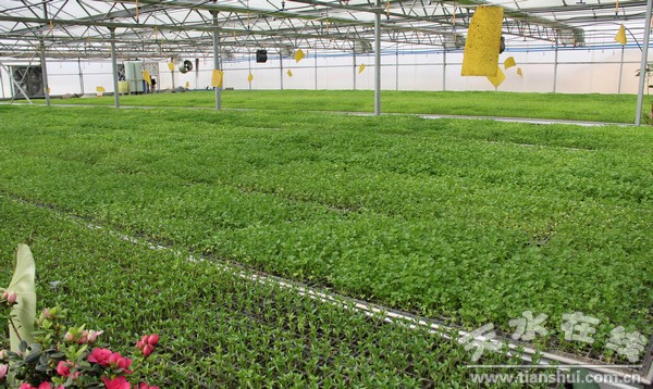 農業(yè)園區(qū)育苗區(qū).jpg