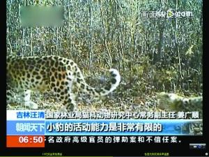 �����ĵ�Ұ���|����ĸ�ӳ��� ���ұ�ʾ���纱Ҋ