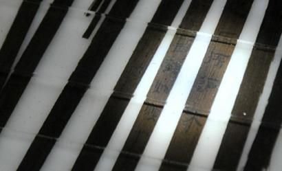 �ɶ�����(zh��n)�h��ĹȺ�����l(f��)��ɹ�����(chu��ng)�¶���(g��)��(gu��)��(n��i)�״�