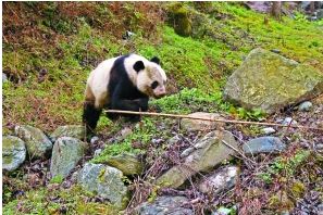 ����Ҋ�����ؼ��ҋ���ȥ�����������ؼsӛ�ߺζY�� ӛ������z