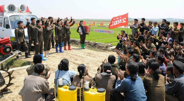 朝鮮文藝宣傳隊走進田間為插秧者鼓勁(圖)