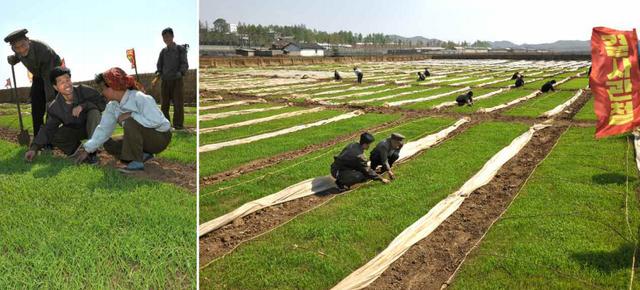 ���r��ˇ��������M���g������߹Ą�(�D)