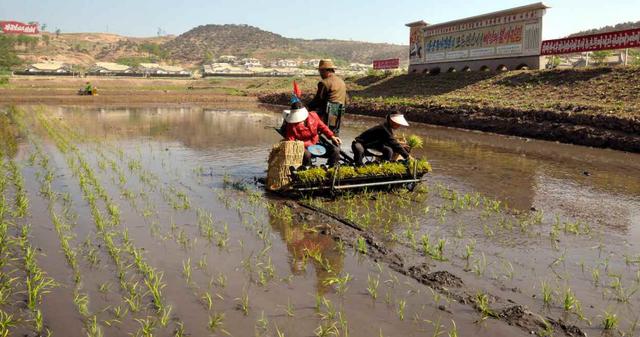 ���r��ˇ��������M���g������߹Ą�(�D)