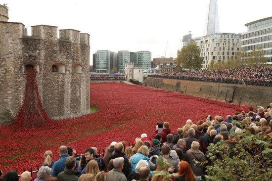 卡梅倫參觀紅色“罌粟花!辟潎@畫(huà)面壯觀(圖)