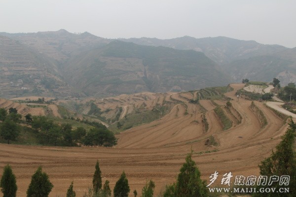 9月2日照片 066.jpg 9月2日照片 066.jpg