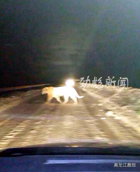 ���������h(yu��n)�h�ٴ��ĵ�������������˹����