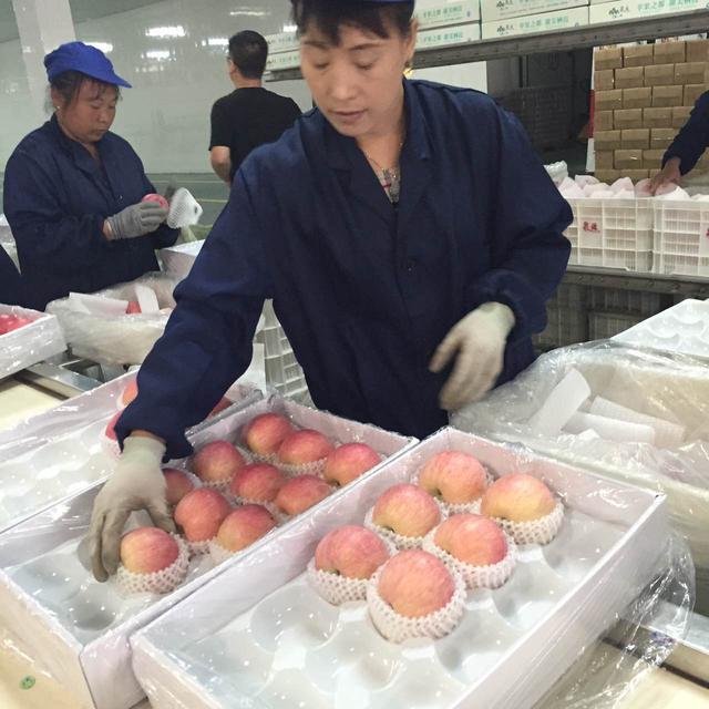 ��ʮ�Č×�ϼ�O��ˇ�g��(ji��)�_Ļ