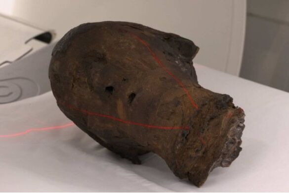 ԭ����D��ľ����÷���������^����