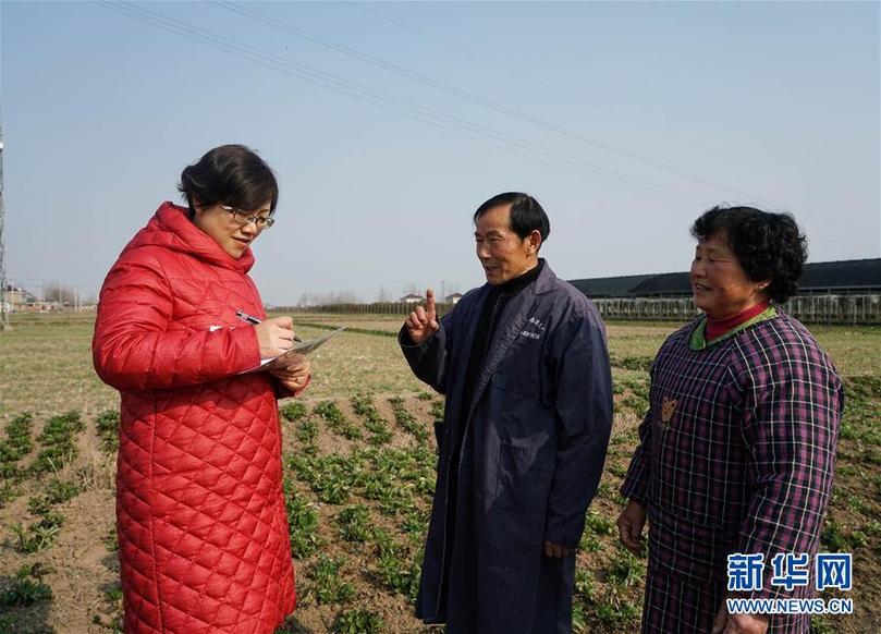 ���ɕ�ǰϦ���䌍���D�Ļ��ӣ���2���Gɫ�l(f��)չ���I(l��ng) ���o���~��֮�l(xi��ng)���������K�䌍����ƽ����ӛȫ���ɕ���Ҫ�vԒ����o��