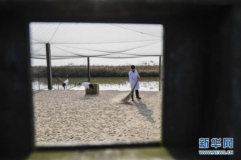 ���ɕ�ǰϦ���䌍���D�Ļ��ӣ���3���Gɫ�l(f��)չ���I(l��ng) ���o���~��֮�l(xi��ng)���������K�䌍����ƽ����ӛȫ���ɕ���Ҫ�vԒ����o��