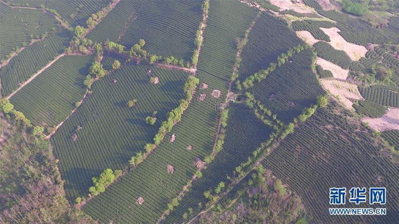 ���ɕ�ǰϦ���䌍���D�Ļ��ӣ���9���Gɫ�l(f��)չ���I(l��ng) ���o���~��֮�l(xi��ng)���������K�䌍����ƽ����ӛȫ���ɕ���Ҫ�vԒ����o��