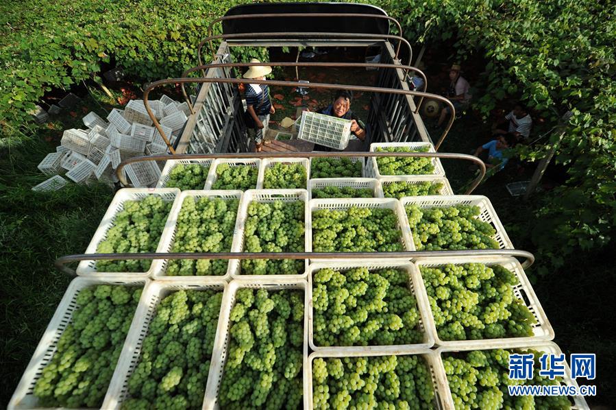 ���ɕ�ǰϦ���䌍���D�Ļ��ӣ���7���Q��(zh��n)Óؚ���� �^����l(f��)�s�������F���䌍��(x��)��ƽ����ӛȫ���ɕ���Ҫ�vԒ����o(j��)��