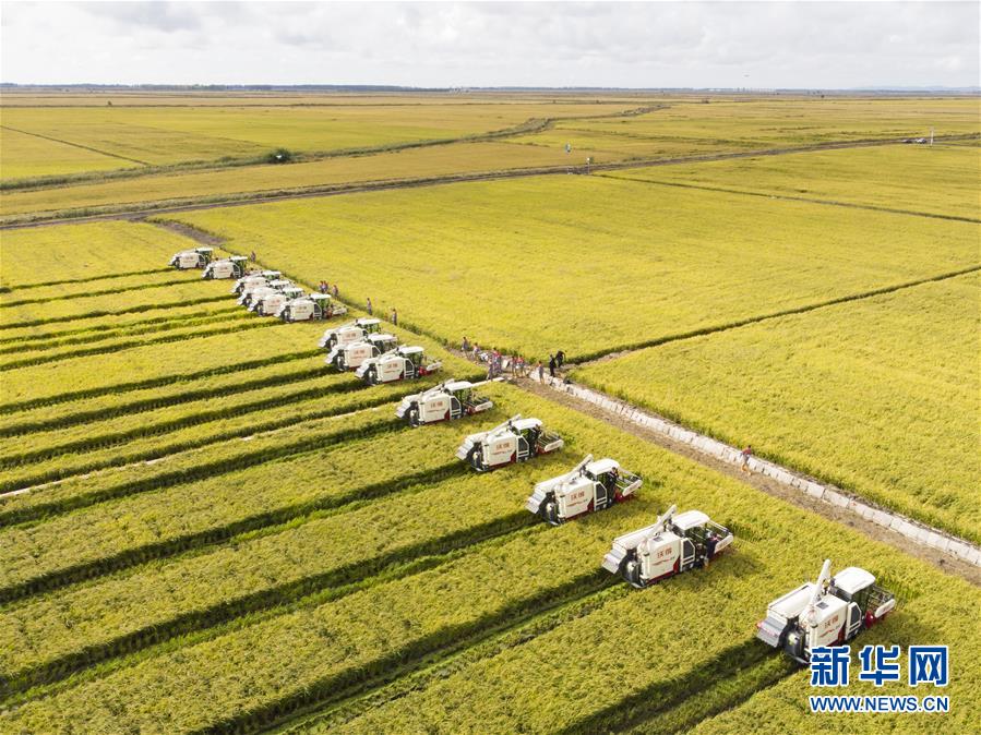 �����Aȫý�^�l���D�Ļ��ӣ���15���^���Y�T�����ٌ���ƪ�¡������ڹ��͇�71�����A�Q֮�H