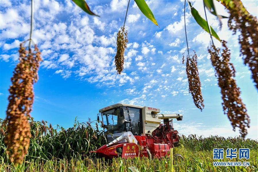 �����Aȫý�^�l���D�Ļ��ӣ���17���^���Y�T�����ٌ���ƪ�¡������ڹ��͇�71�����A�Q֮�H