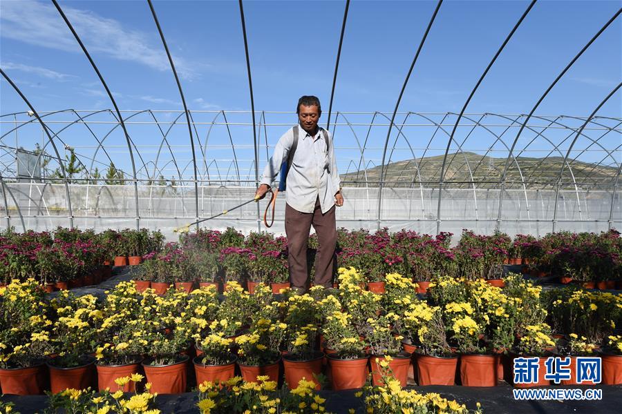 �����Aȫý�^�l�������҂���С������D�Ļ���(d��ng)����10������ס����٣�����ζ���d�L(zh��ng)����Óؚ����(ji��n)�ĸ��Cζ��