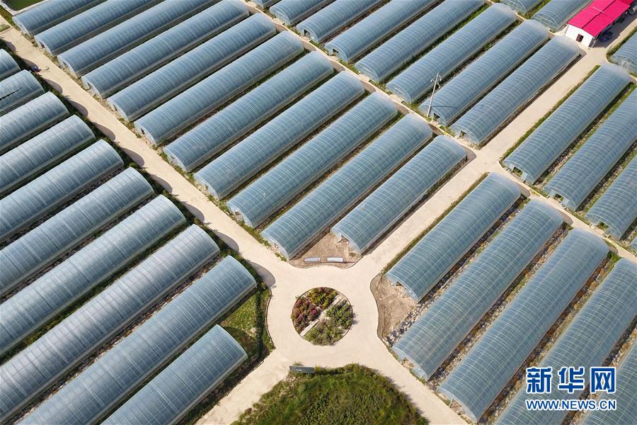 �����Aȫý�^�l�������҂���С������D�Ļ���(d��ng)����11������ס�����������ζ���d�L(zh��ng)����Óؚ����(ji��n)�ĸ��Cζ��