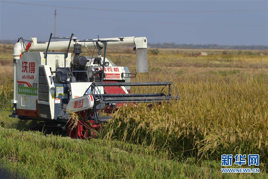 �����Aȫý�^�l���D�Ļ��ӣ���7�����{2021���Ї������@ô�ɡ������x���뽛���������h�΄ղ���