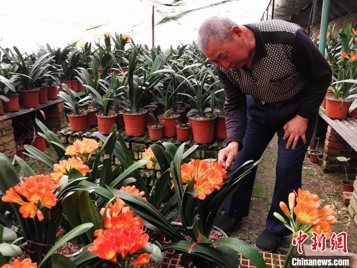 ��ʮ��@ÿһ��(g��)�^�����㡿�ԌW(xu��)���ܷNֲ�ӱ�����65�q���˴��조�����m���@��