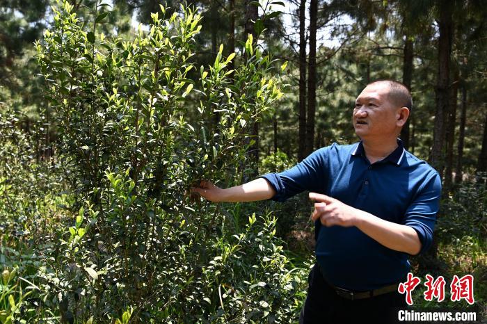 ��ʮ��@ÿһ���^�����㡿���l(xi��ng)�а��f��ɽ���������������Ժ󶼳ɽ�ɽ�yɽ