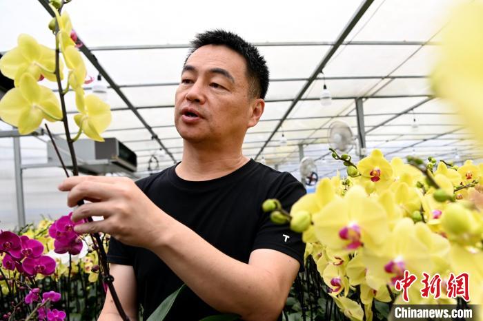 ��?zh��)ƾS�Q���Sɫ�ĺ����m������Խ�Ͽ͑���A�������� �z