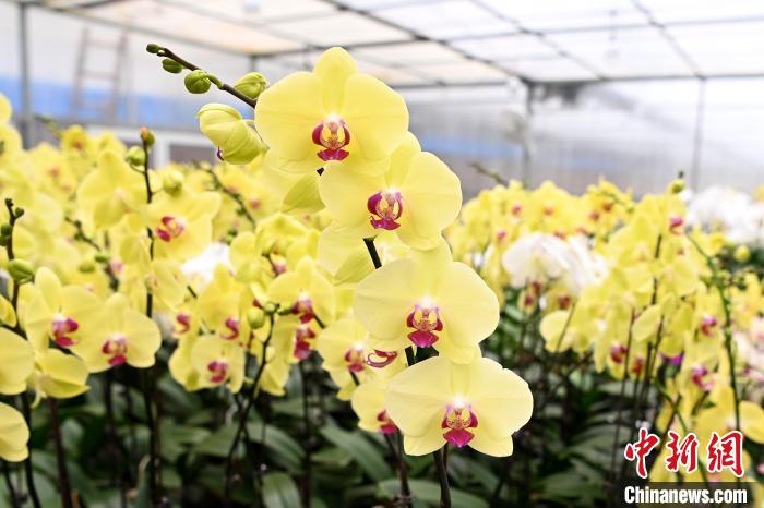 ��?zh��)ƾS�ĺ����m�������������_���G�������� �z