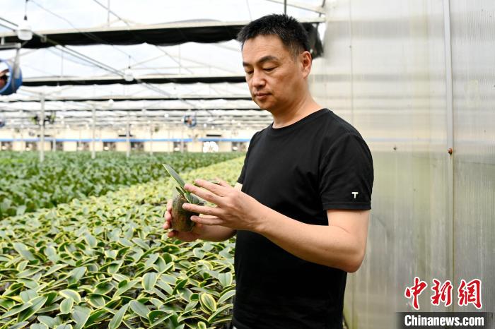 ��?zh��)ƾS�鿴�����mС�����L(zh��ng)��r�������� �z