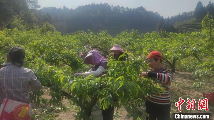 �踣�m�ҵ��҈@λ��ƽ������1000�����ϵ�����h���^����������� �z