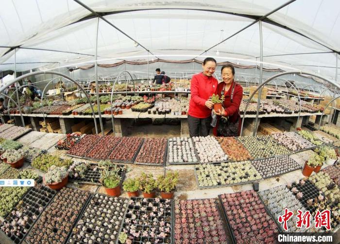 ��ľ��̮a(ch��n)�I(y��)�ѳɞ���ꖿh֧���a(ch��n)�I(y��)֮һ�������A�� �z