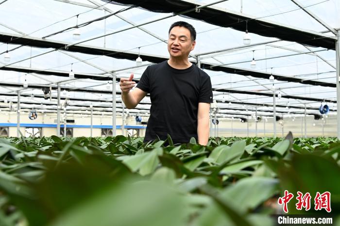 ��ʮ��@ÿһ��(g��)�^�����㡿����ꑡ��_(t��i)�r(n��ng)�c�����20�d����������(qi��ng)�����m�a(ch��n)�I(y��)һ�l��