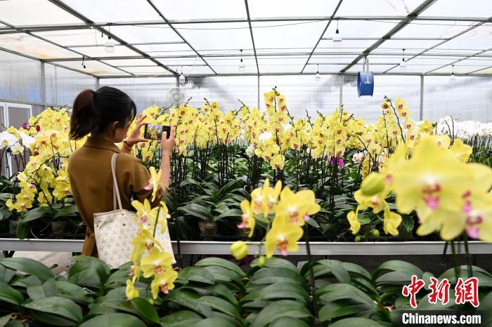 ��?zh��)ƾS�ĺ����m�������ػ��_���G���������L���v���^�p������������ �z