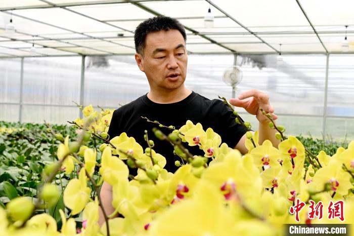 �����m���_���G����?zh��)ƾSϲ����ɫ�������� �z