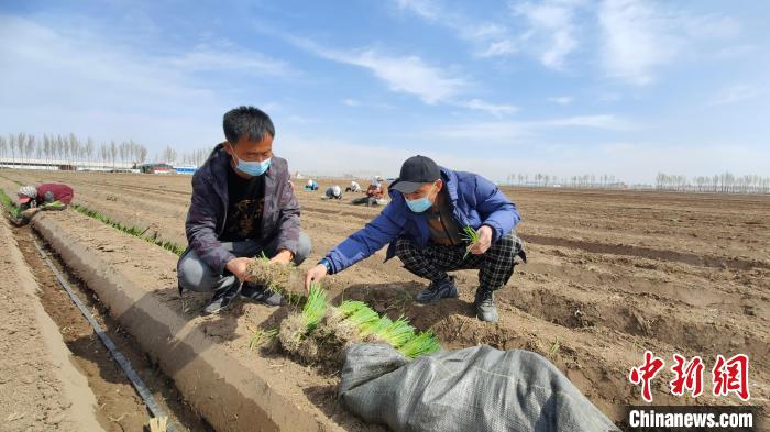 �D��O����(��)�鿴�[���|(zh��)��������� �z